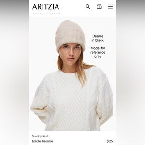 Aritzia (Sunday Best) Icicle Beanie in Black